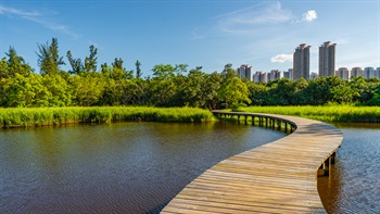 The Wildside Walk consists of a winding boardwalk meandering through ponds and the Butterfly Garden.